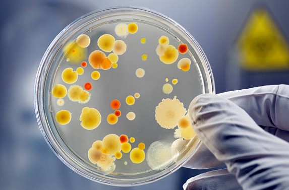 Microbiología